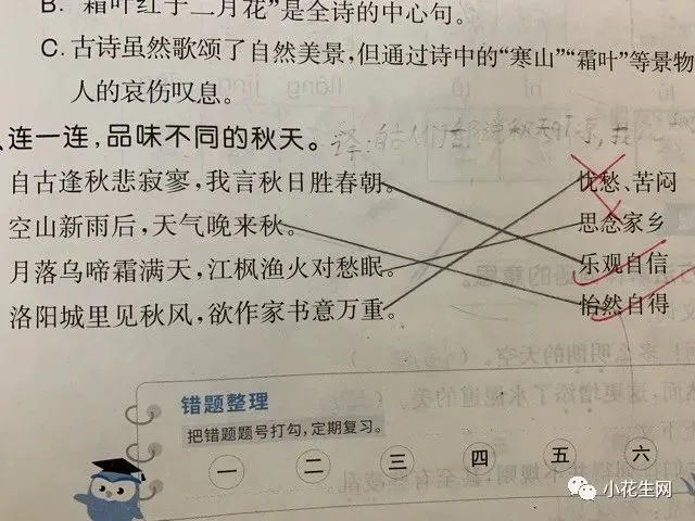 为什么专业篮球品牌在训练中如此重要_0